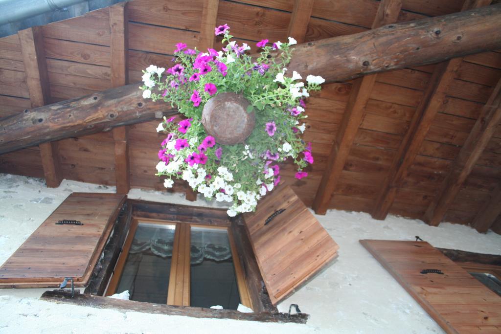 Chambre D'Hotes La Romarine Barnave Exteriér fotografie