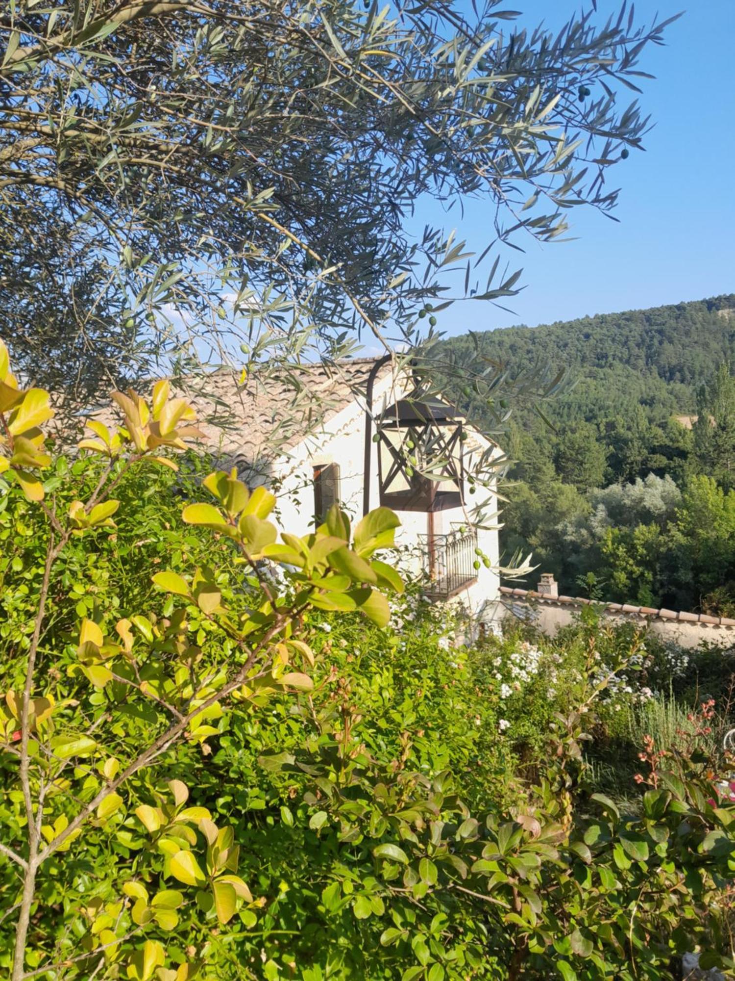 Chambre D'Hotes La Romarine Barnave Exteriér fotografie